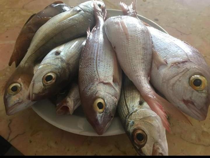 Seaview Pozo Izquierdo别墅 外观 照片